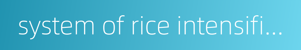 system of rice intensification的同义词