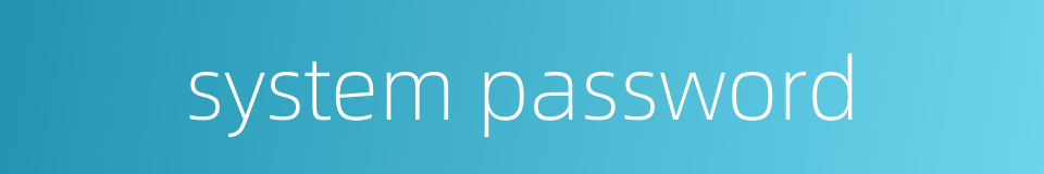 system password的同义词