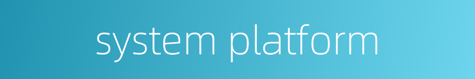 system platform的同义词