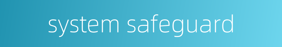 system safeguard的同义词