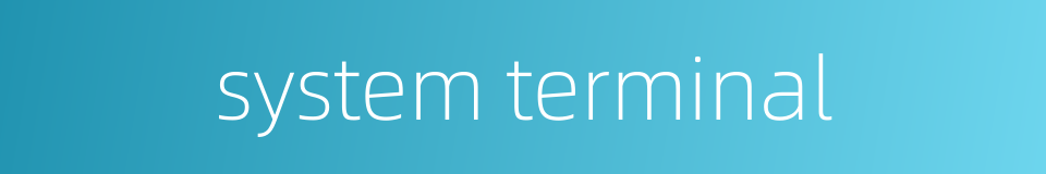 system terminal的同义词