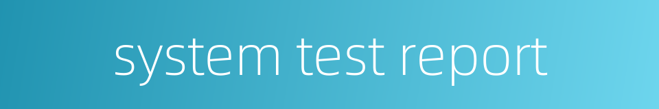 system test report的同义词