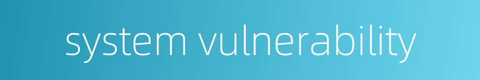 system vulnerability的同义词