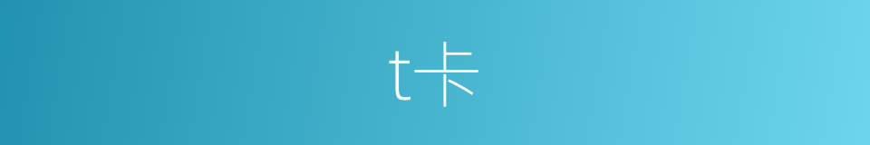 t卡的同义词