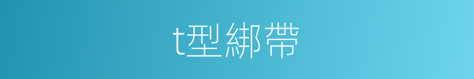 t型綁帶的同義詞