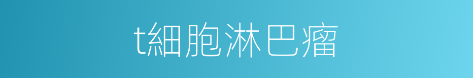 t細胞淋巴瘤的同義詞