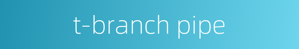 t-branch pipe的同义词