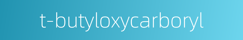 t-butyloxycarboryl的同义词