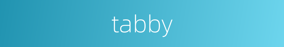 tabby的同义词