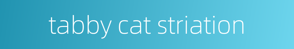 tabby cat striation的同义词