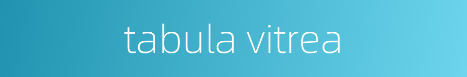 tabula vitrea的同义词