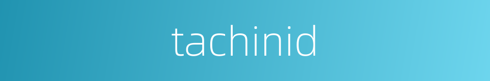 tachinid的同义词