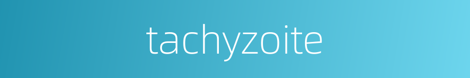 tachyzoite的同义词