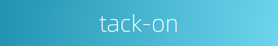 tack-on的同义词