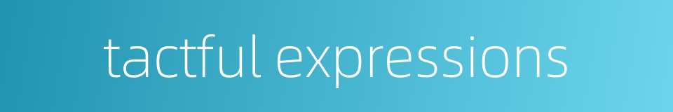 tactful expressions的同义词