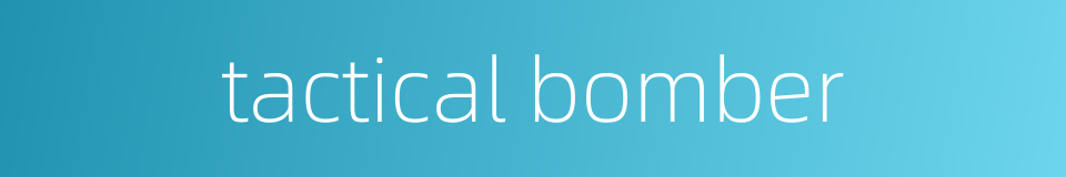 tactical bomber的同义词