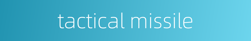 tactical missile的同义词