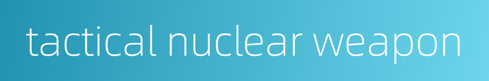 tactical nuclear weapon的同义词