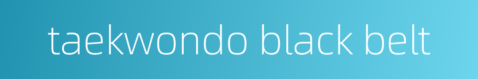 taekwondo black belt的同义词