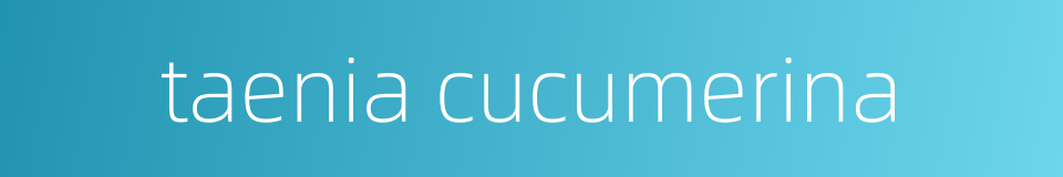 taenia cucumerina的同义词