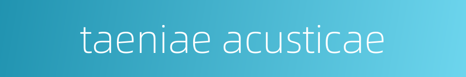 taeniae acusticae的同义词