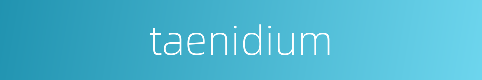 taenidium的同义词