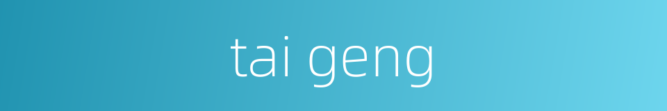 tai geng的同义词