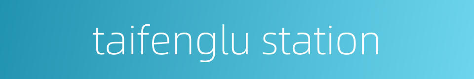 taifenglu station的同义词