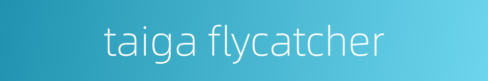 taiga flycatcher的同义词