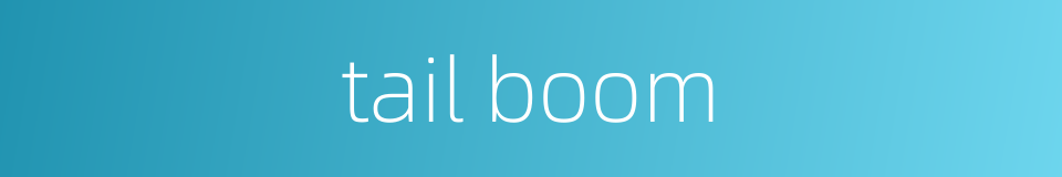 tail boom的同义词