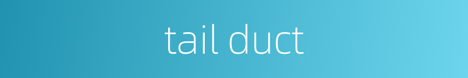 tail duct的同义词