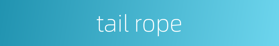 tail rope的同义词