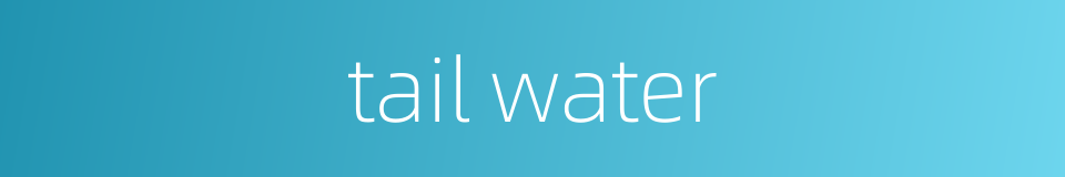 tail water的同义词