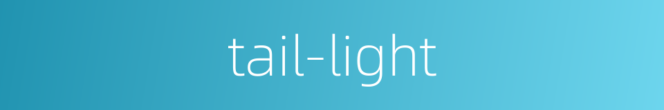 tail-light的同义词