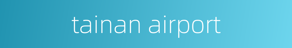 tainan airport的同义词