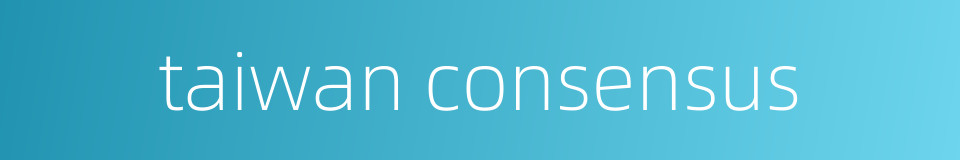 taiwan consensus的同义词