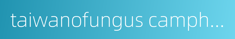 taiwanofungus camphoratus的同义词