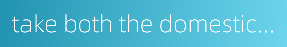 take both the domestic and international situations into consideration的同义词