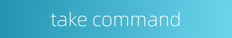 take command的同义词
