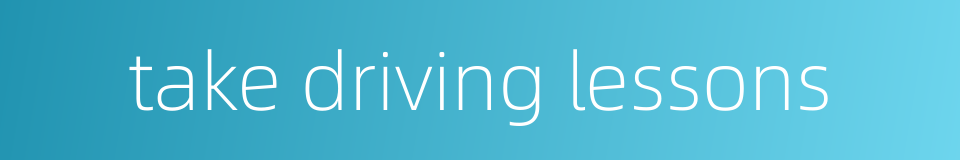 take driving lessons的同义词