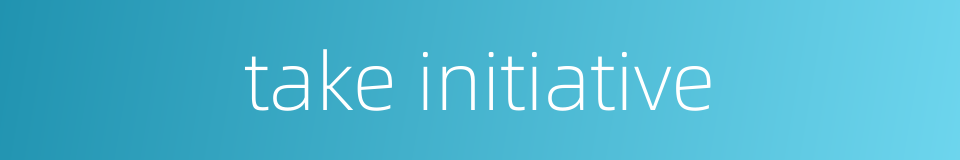 take initiative的同义词