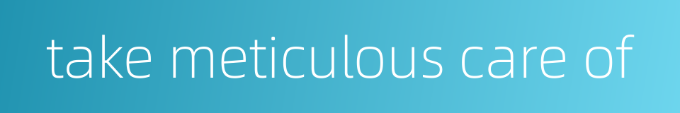 take meticulous care of的同义词