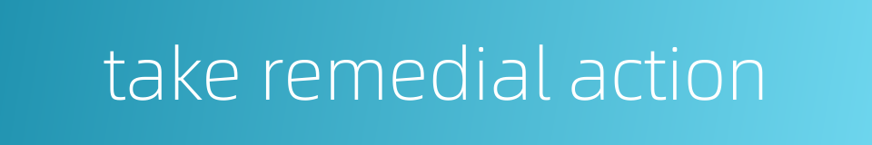 take remedial action的同义词