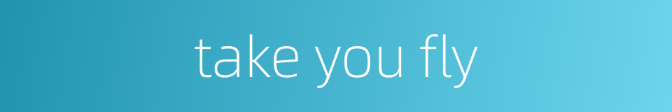 take you fly的同义词