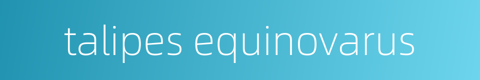 talipes equinovarus的同义词