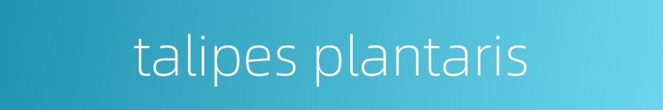 talipes plantaris的同义词