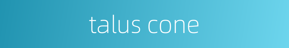 talus cone的同义词