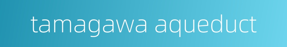 tamagawa aqueduct的同义词