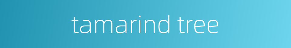 tamarind tree的同义词