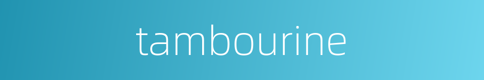 tambourine的同义词